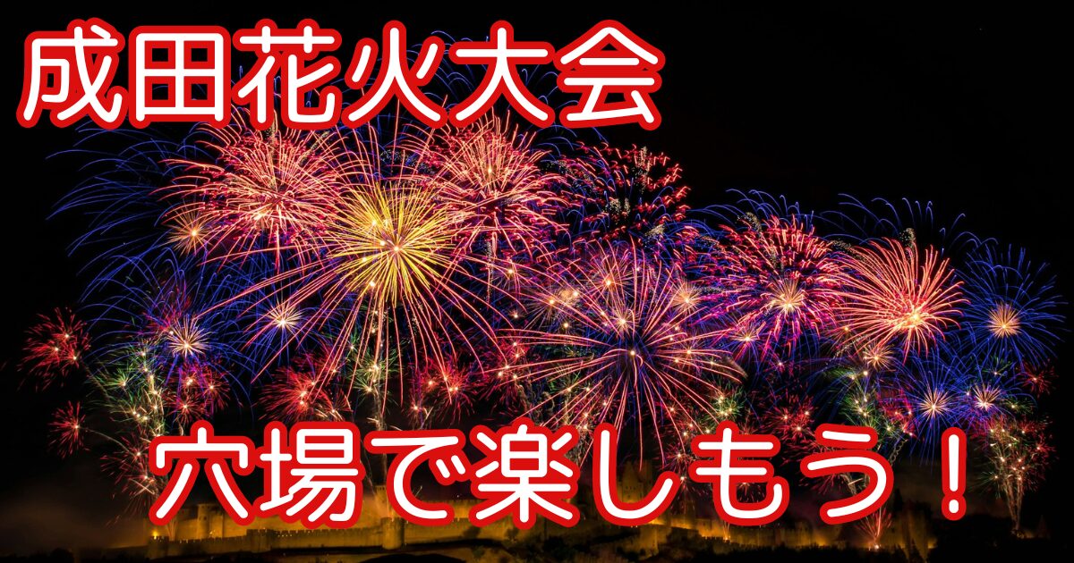 成田花火大会】2024NARITA花火大会in印旛沼の穴場スポット8選！ | そうちゃんブログ~30代男性の雑記ブログ~